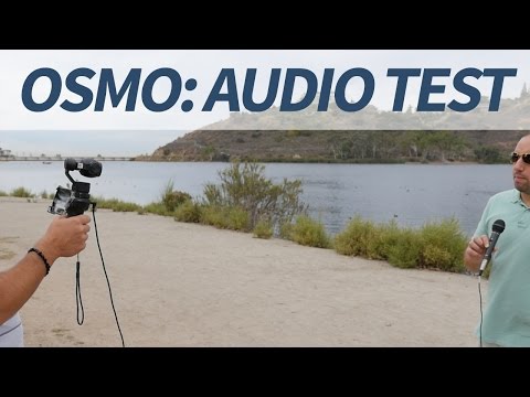 DJI OSMO Audio Comparison Test: Onboard & 4 External Microphones