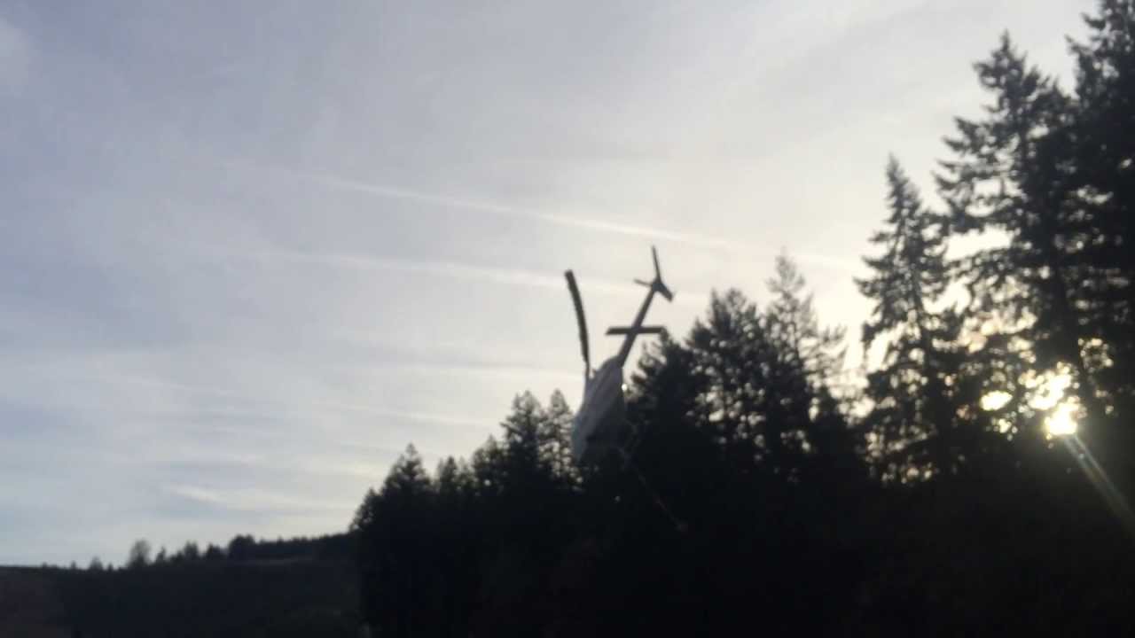 Christmas Tree Harvesting Part 2 - YouTube