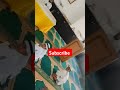 Ye duniya #shortvideo #funny #trendingshorts #ytshorts #viralvideo #shorts