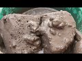 ASMR-black mud dirt water crumbling dipping mixing soft dusty satisfying ✨🩷