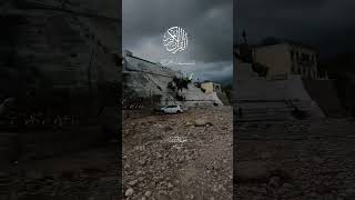 بے شک سبحان اللہ #viral reel #youtube