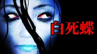 「白死蝶」という死んだ人の日記があるらしい