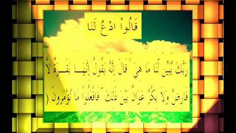 القرآن الكريم سورة البقرة الأية 68.wmv