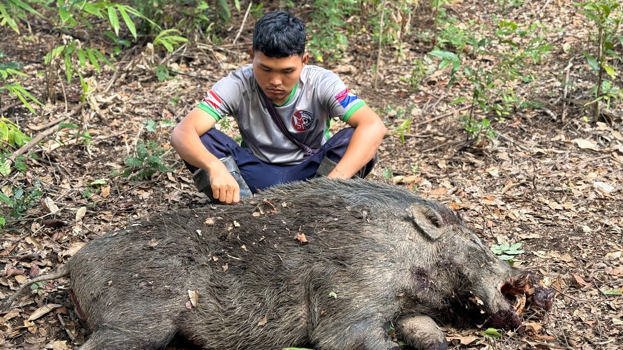 It was getting the Karen wild pig.