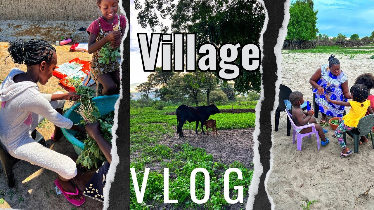 Наш деревенский дом | Наше счастливое место | Мирный | Катима | Замбези