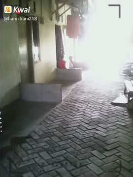 tetangga kost
