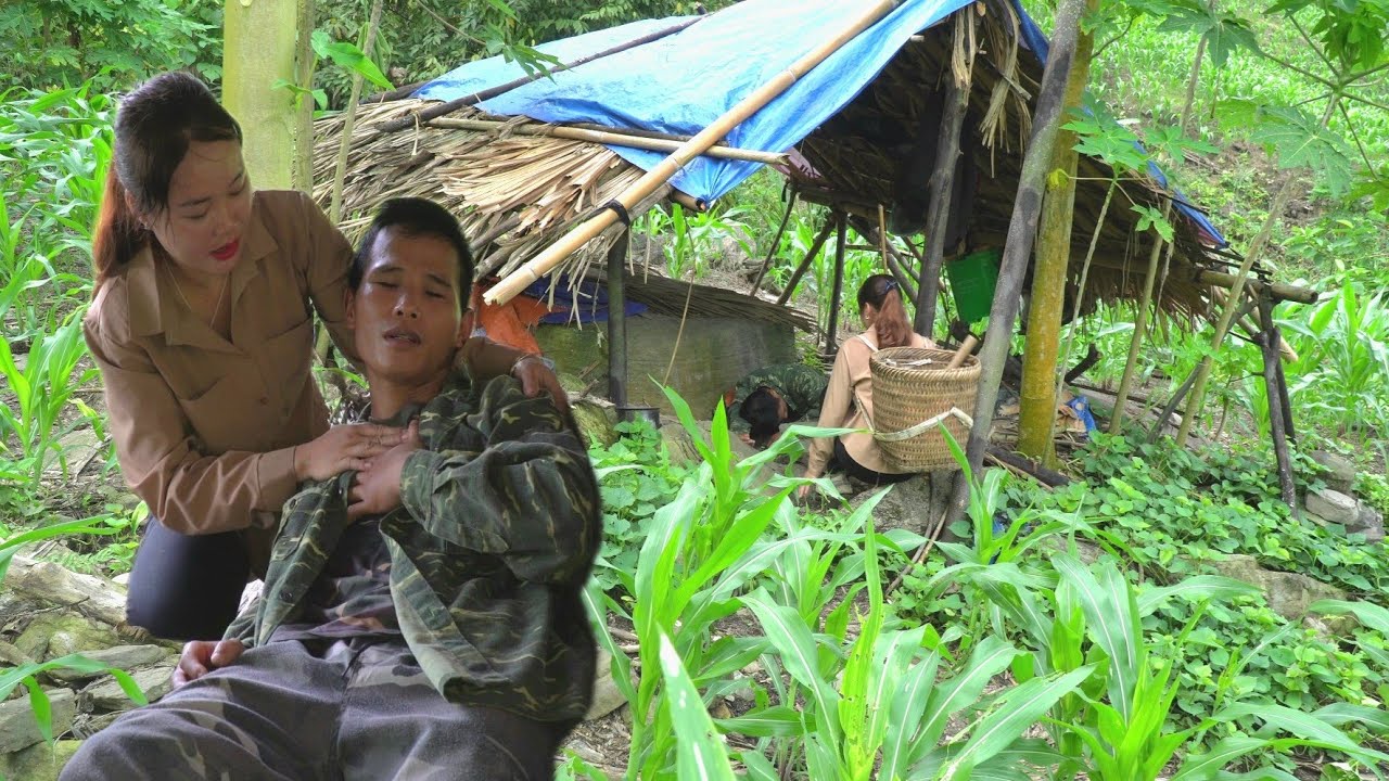 Harvesting papaya and discovering people being stung by bees - chuc ha diep