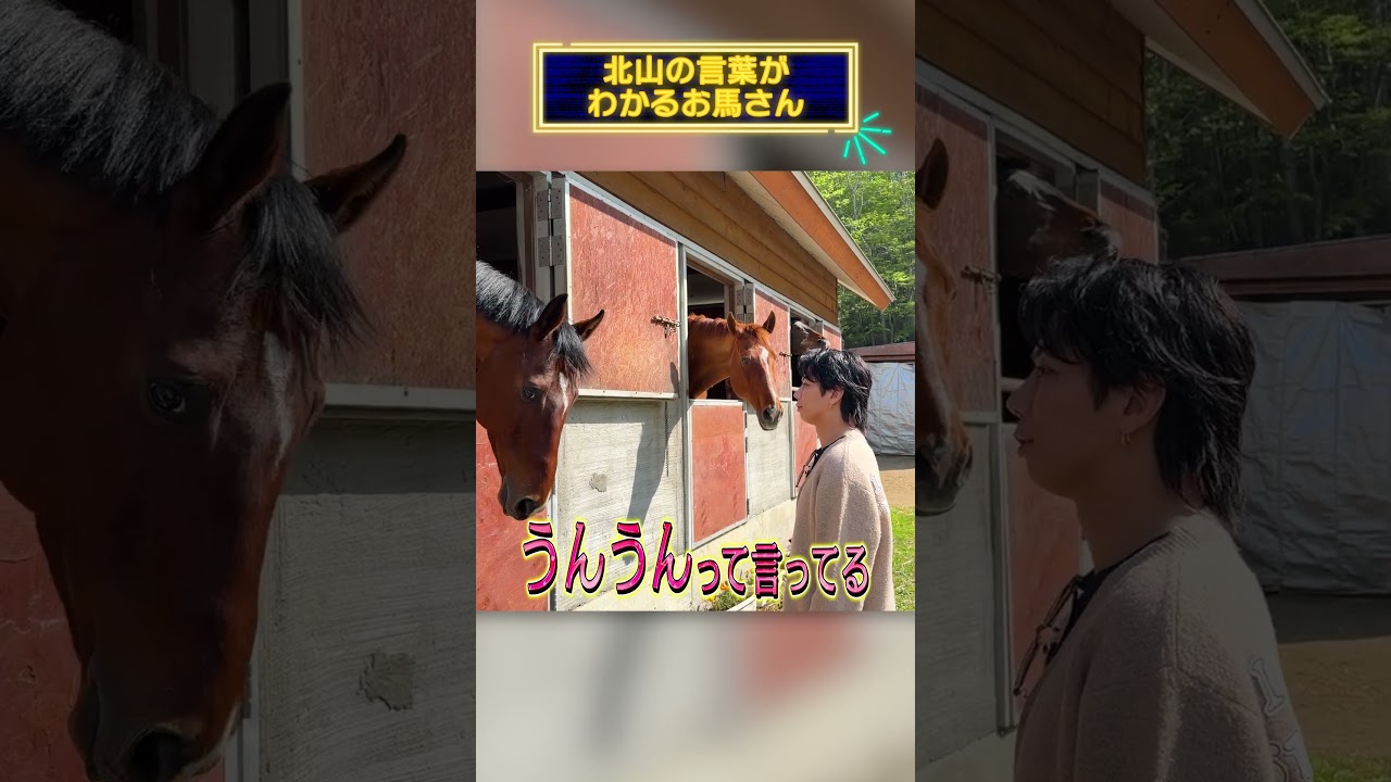 The Horse That Understands Kitayama - YouTube