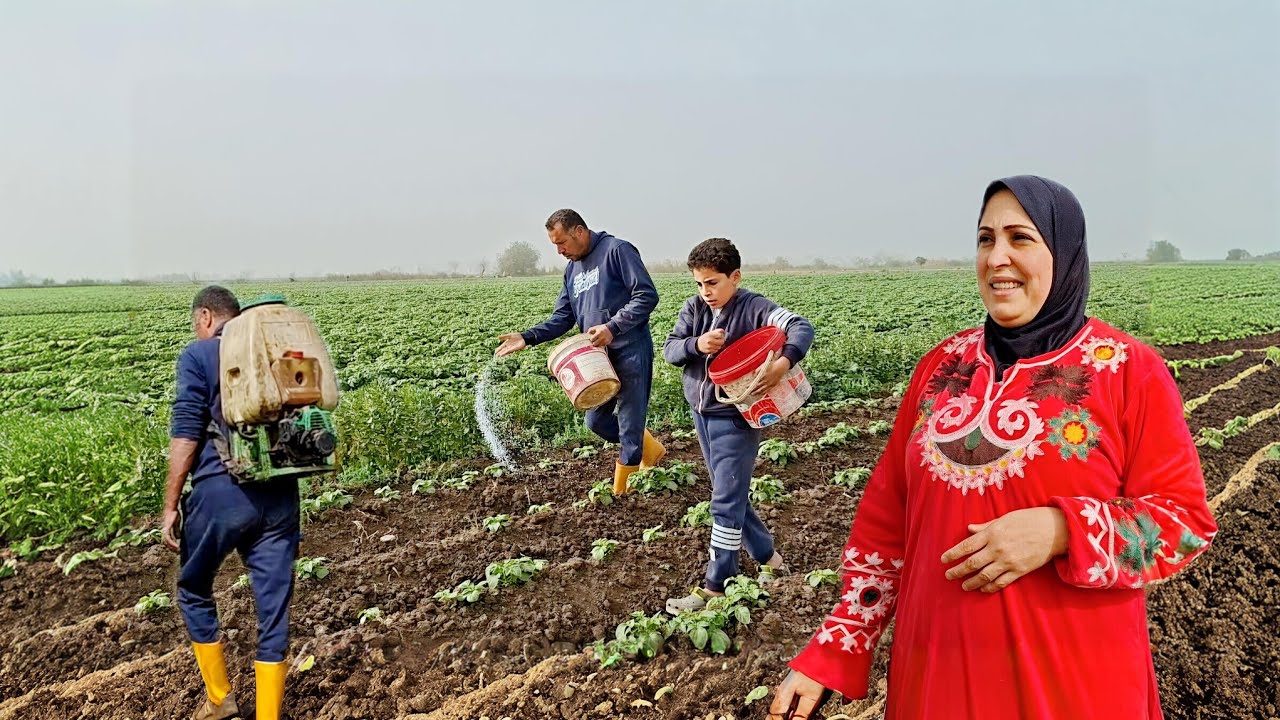 ما فيش أجمل من لقمة العيش الحلال🤫 عندما تجتمع العائلة على لقمة العيش الحلال😍