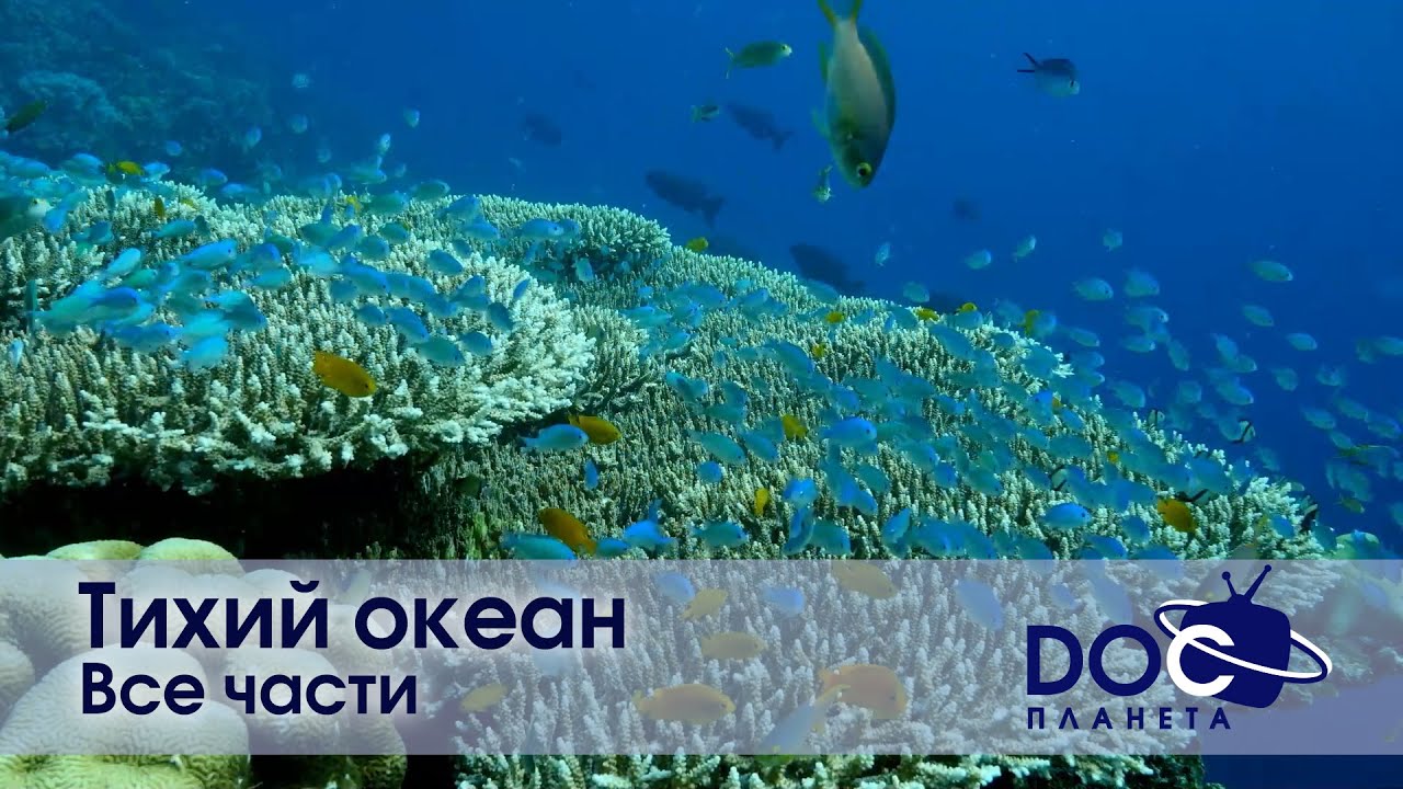 Тихий океан. Все части - Документальный фильм