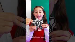 Learn About Your Bones The Amazing Skeleton Inside You