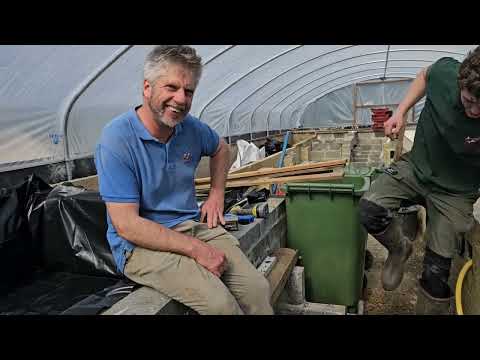 A SHORT PROGRESS UPDATE FROM PHOENIX 2 #koifarm ##koifish #koi