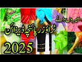 Latest Trouser Designs 2025 | New Stylish Trouser Cutting &amp; Stitching Ideas