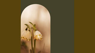 Background for Float Tank Sessions