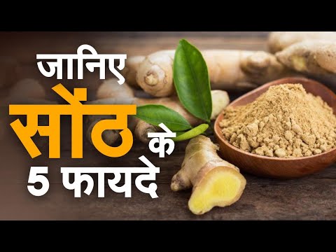 Dry Ginger Benefits : जानिए क्या है सोंठ के 5 फायदे |