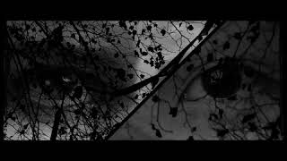 Aliyeviç - Gecələr Küçələr