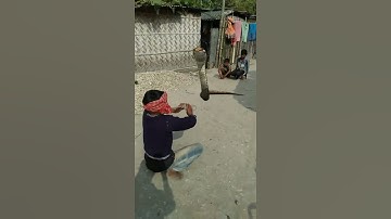 nagin viral vfx video kinemaster editing by vfxmantu/shorts