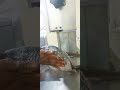 Fish cutting ফিস ফিল্ললেট কাটিং #highlight #viral #vairalvideo #fish #fishing