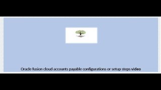 Oracle Fusion Accounts Payable Setup Steps Basic Oracle Accounts Payable Setup
