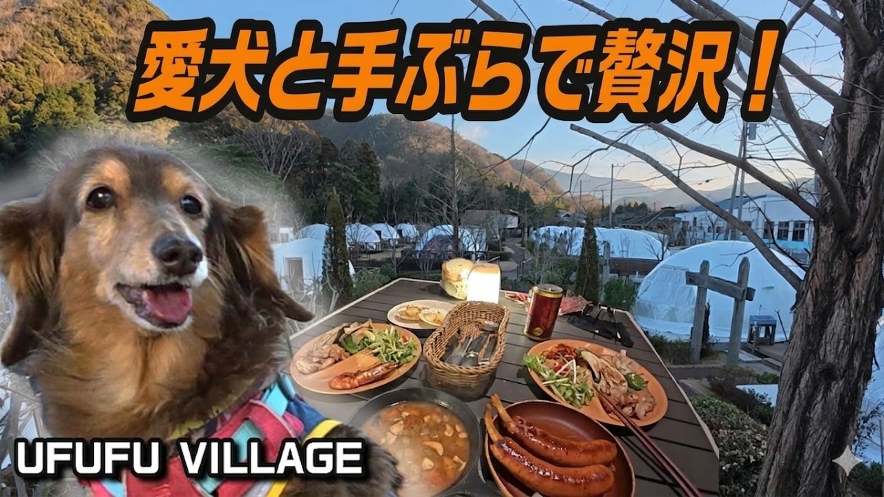 【伊豆グランピング】愛犬とUFUFU VILLAGE宿泊ガイド！犬連れBBQから注意点まで徹底解説