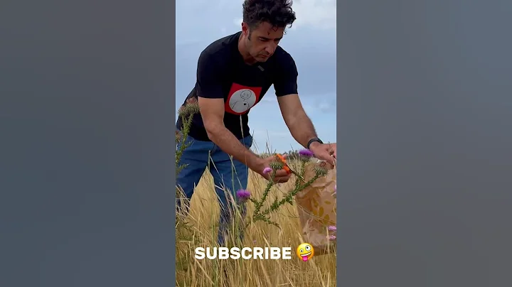 Homemade RENNET from FLOWERS 🌺 - DayDayNews