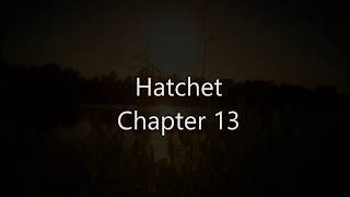 Hatchet Chapter 13