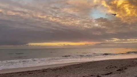 Today's Beach Sunrise