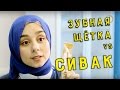 СИВАК ИЛИ ЗУБНАЯ ЩЕТКА? ЧТО ЛУЧШЕ?