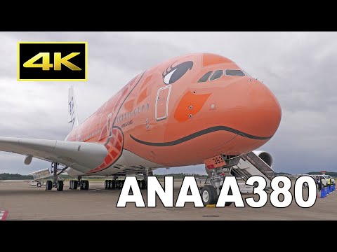 ANA フライングホヌ 3号機 A380-800 JA383A av ANA フライングホヌ 3号機 A380-800 JA383A av - メルカリ