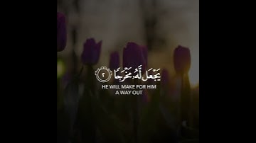 ومن يتق الله يجعل له مخرجا | سورة الطلاق | القارئ رعد الكردي