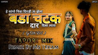 He Sango Niva Digdi Ta Jhela Bada Chatakdar Disa Lata || Gondi Tapori Mix || Dj Ms Tekam Remix Song