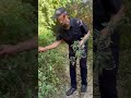 Cholo gurri