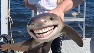 Details Unexpected Memes try not to laugh Update