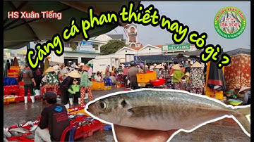 CẢNG CÁ PHAN THIẾT