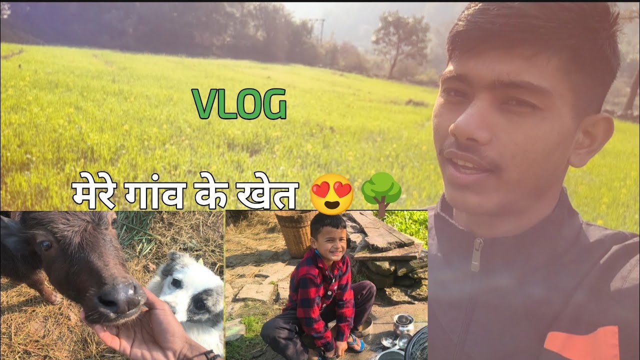 मेरे गांव के खेत 😍🌳|| fields in my village😍🌳