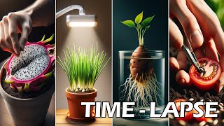 Best of 2023 Time Lapse. #greentimelapse #gtl #timelapse