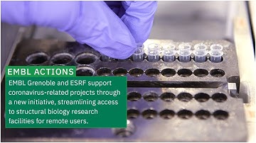 EMBL Grenoble and ESRF facilitating COVID-19 structural biology research