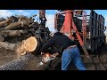 #124 Cutting Firewood : Gold from Gardner Tree Service !!!!!!