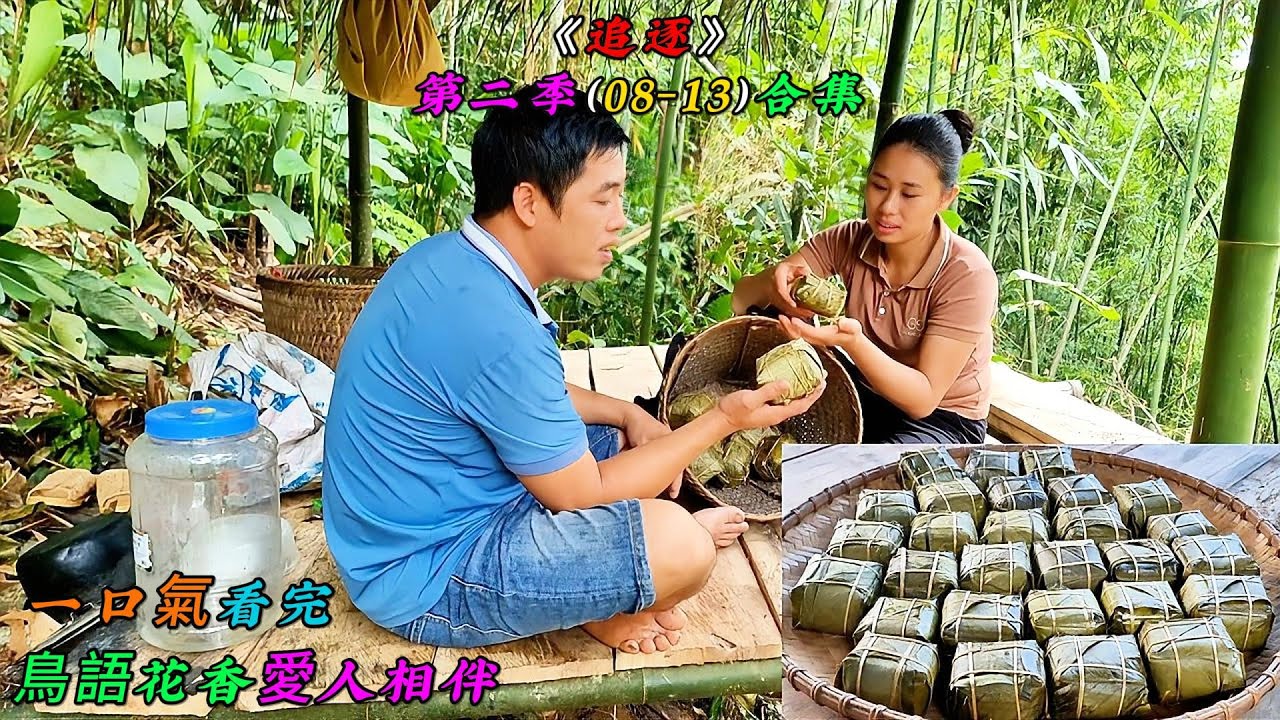 一口氣看完，鳥語花香愛人相伴《追逐》第二季（08-13）合集