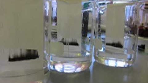 IB Group 4 Project: Chinese Ink