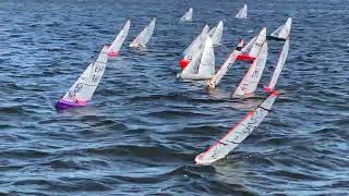 Queensland DF65 Big Start Line Regatta - Race 1