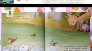 The little raindrop Read Aloud