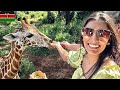 I landed in kenyaagain to meet the giraffes