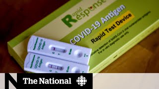 Citizen scientists fill gap by building COVID-19 rapid test tracking websites