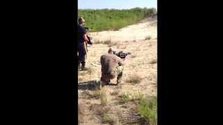 37mm Sage gun w Def Tec ferret round.