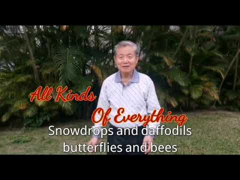 Andy歌集 All Kinds of Everything
