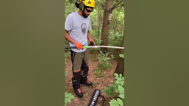 Silky Katanaboy 650mm folding saw. This is a two handed hand saw that can compete with chainsaws!