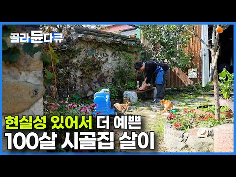과하게 꾸민 그런 집 말고. 누구나 할 수 있을 만큼이라 더 예쁜 100살 촌집｜은퇴 부부 시골 살이｜한국기행｜#골라듄다큐