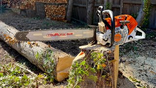Dead Nutz 🎯 ~ Falling Tall Cypress Tree w/Stihl MS500i