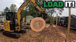 How Do I Get My Firewood Logs? Free Tree Service Wood Is The Way To Go For My Small Business!